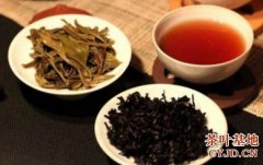 600一斤的安吉白茶怎样_六堡茶是啥茶_六堡茶的功效