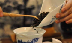 福鼎白茶的多重功效与三大禁忌