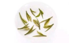 一份关于老白茶功效的研究陈诉